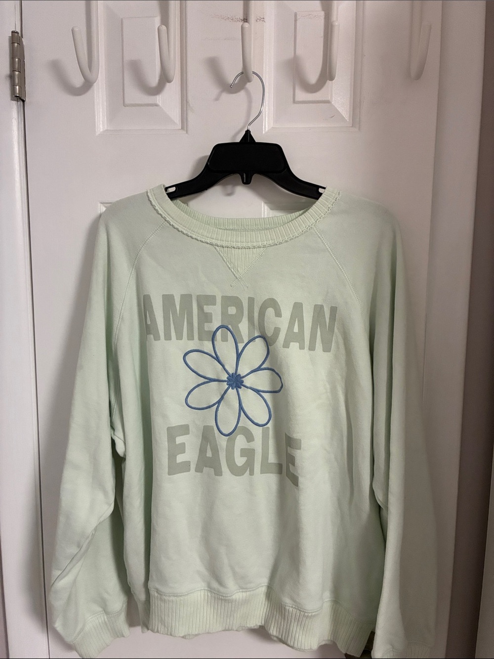 American Eagle Crewneck